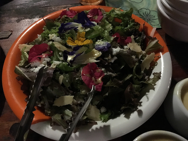 Bee Farmのおすすめサラダ。お花もちゃんと食べられる。自家製ドレッシングがこれまたおいしい。