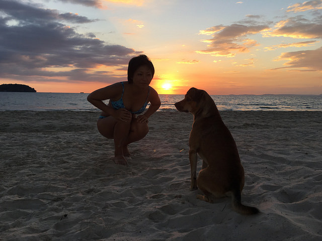 オートレスビーチの夕日と犬と自分